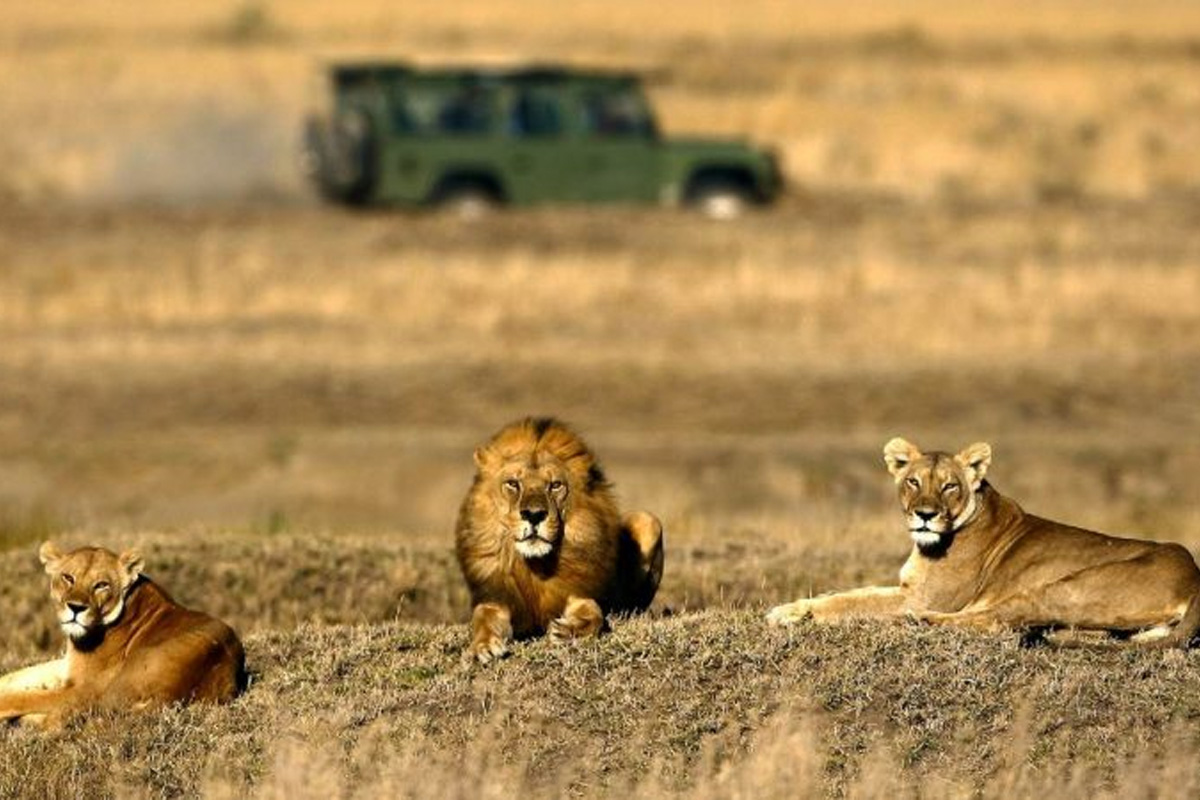 Tanzania during December